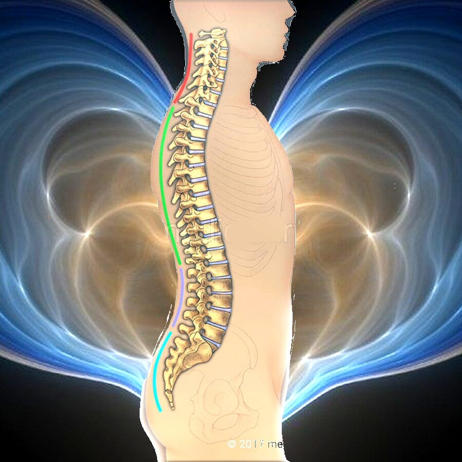 Cheltenham massage logo. Spine image